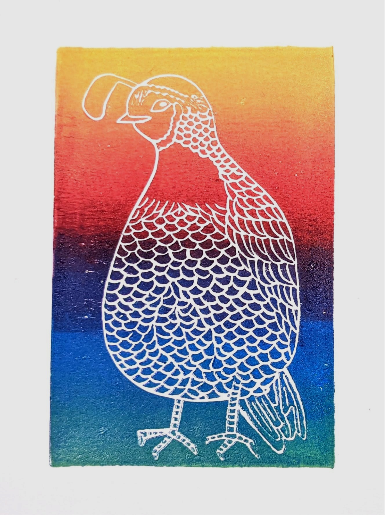 Quail (rainbow), linocut print