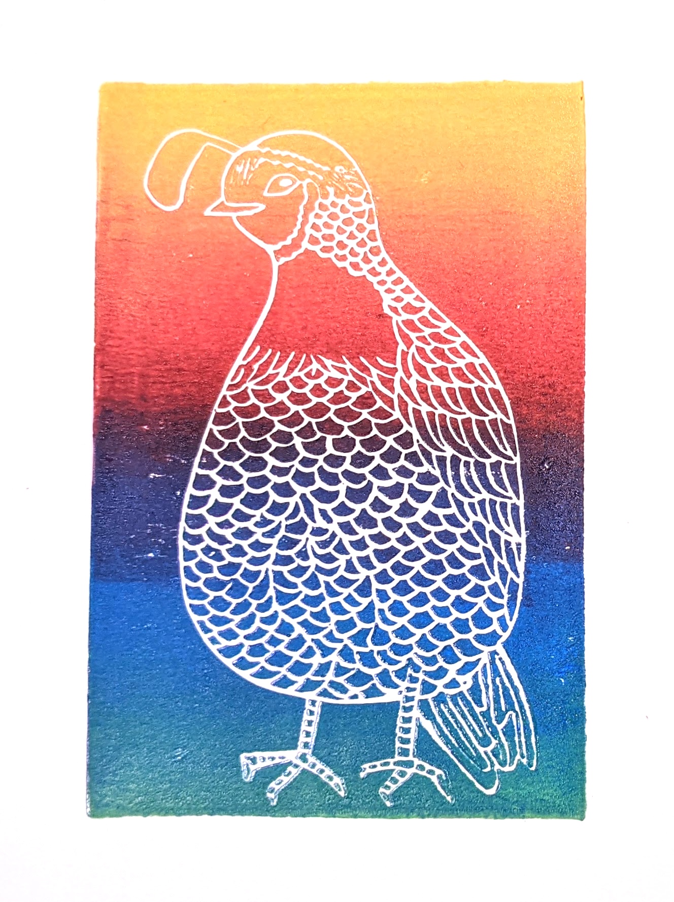 Quail (rainbow) — linocut print