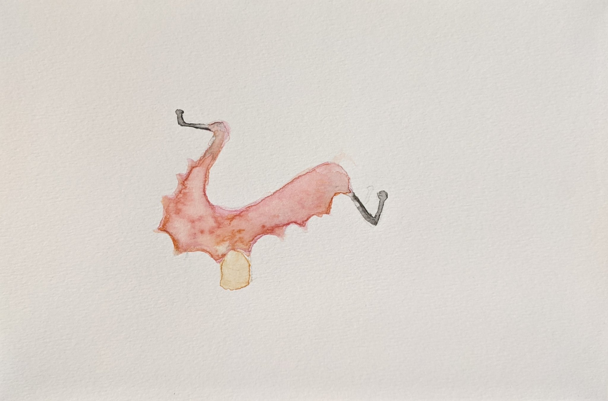 watercolor